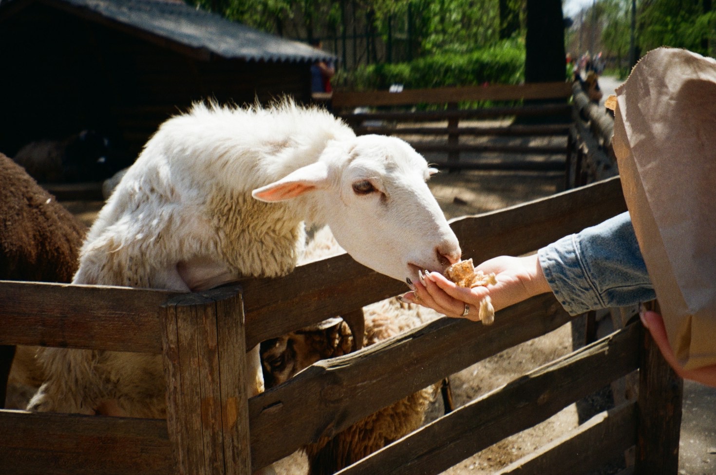 A Year in the Life at Union Bridge Farm